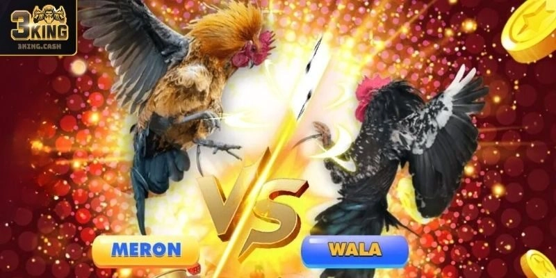 Hợp pháp an toàn tuyệt đối